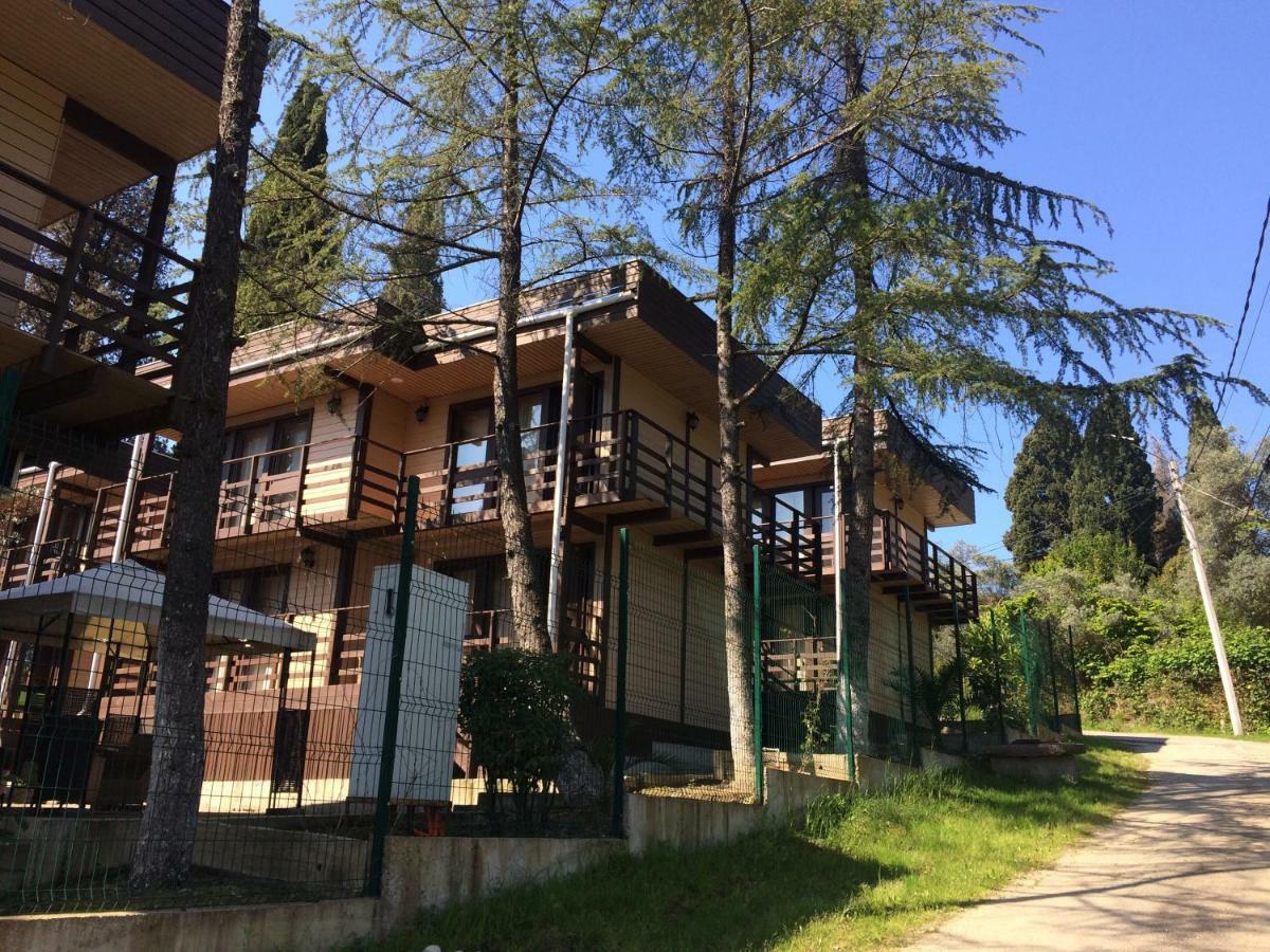 Hotel Eco Village New Athos Extérieur photo